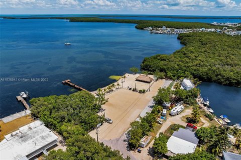 Land in Key Largo, Florida № 1825994 - photo 6