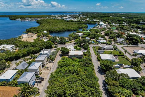 Land in Key Largo, Florida № 1825994 - photo 14