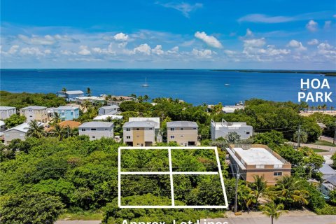 Land in Key Largo, Florida № 1825994 - photo 2
