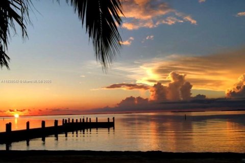 Land in Key Largo, Florida № 1825994 - photo 5