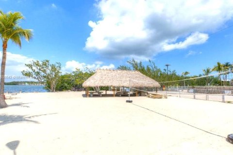 Land in Key Largo, Florida № 1825994 - photo 9