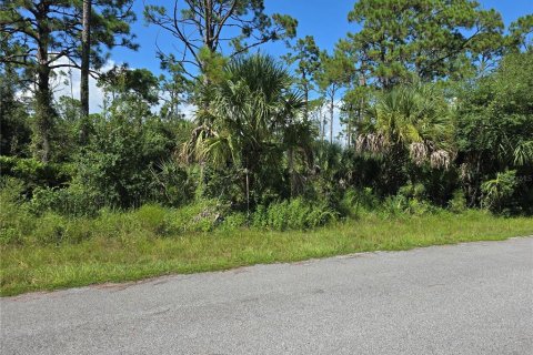 Land in Port Charlotte, Florida № 2164248 - photo 2
