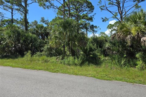 Land in Port Charlotte, Florida № 2164248 - photo 4