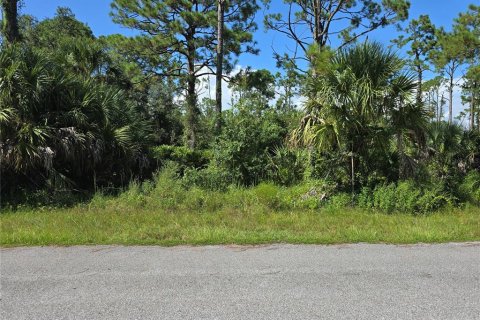 Land in Port Charlotte, Florida № 2164248 - photo 3