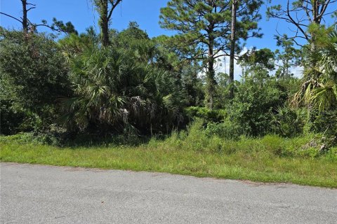 Land in Port Charlotte, Florida № 2164248