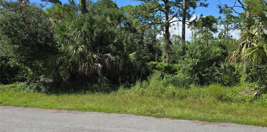 Land in Port Charlotte, Florida № 2164248