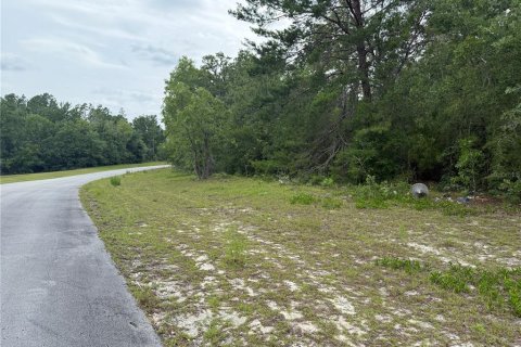Terreno en venta en Ocala, Florida № 1769289 - foto 8