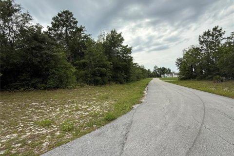 Terreno en venta en Ocala, Florida № 1769289 - foto 4