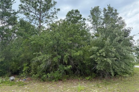 Terreno en venta en Ocala, Florida № 1769289 - foto 1