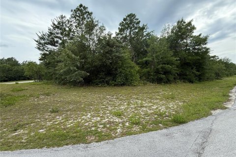 Terreno en venta en Ocala, Florida № 1769289 - foto 5