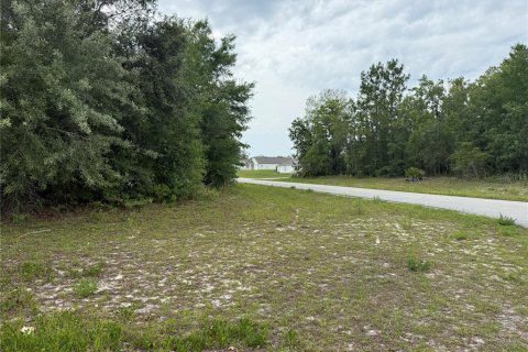 Terreno en venta en Ocala, Florida № 1769289 - foto 6