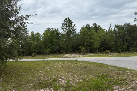 Terreno en venta en Ocala, Florida № 1769289 - foto 7