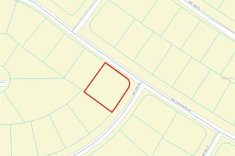 Terreno en venta en Ocala, Florida № 1769289 - foto 2