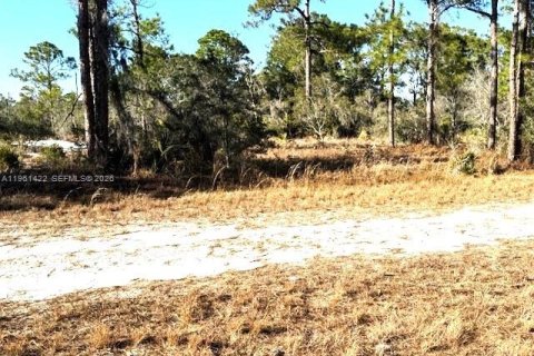 Land in Lake Placid, Florida № 2158273 - photo 3