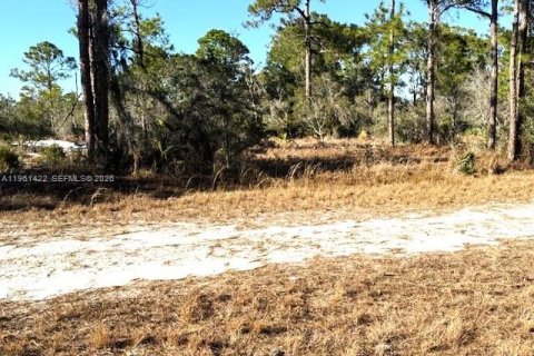 Land in Lake Placid, Florida № 2158273 - photo 2