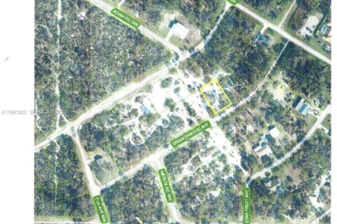 Land in Lake Placid, Florida № 2158273 - photo 4