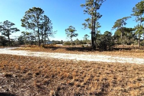 Land in Lake Placid, Florida № 2158273