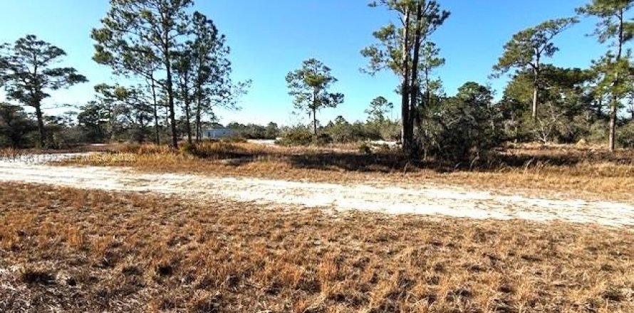 Land in Lake Placid, Florida № 2158273