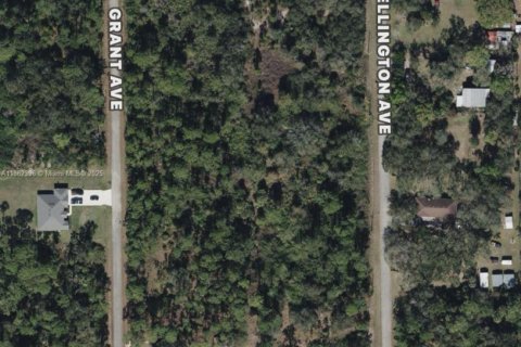 Terrain à vendre à Lehigh Acres, Floride № 1961761 - photo 2