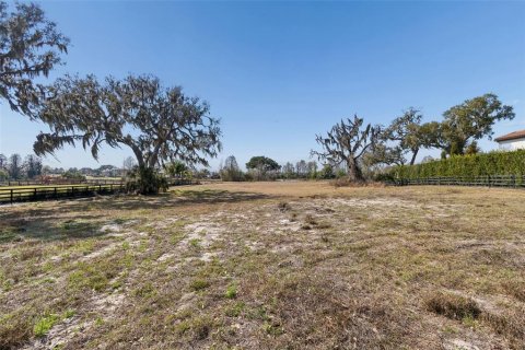 Terrain à vendre à Thonotosassa, Floride № 2213416 - photo 11