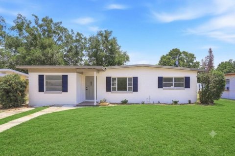 House in Mount Dora, Florida 4 bedrooms, 134.15 sq.m. № 2203646