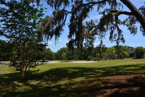Propiedad comercial en venta en DeLand, Florida, 282.05 m2 № 1902283 - foto 5