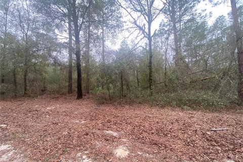 Land in Dunnellon, Florida № 2163623 - photo 3