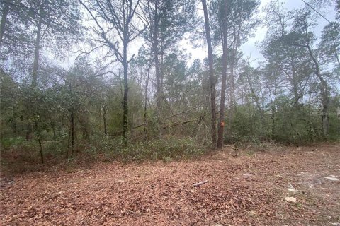 Land in Dunnellon, Florida № 2163623 - photo 4