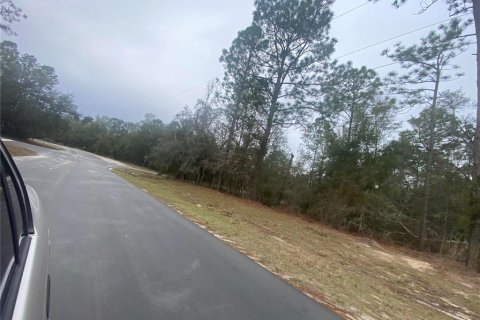Land in Dunnellon, Florida № 2163623 - photo 10
