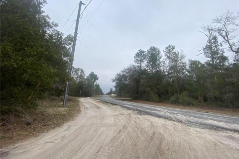 Land in Dunnellon, Florida № 2163623 - photo 9
