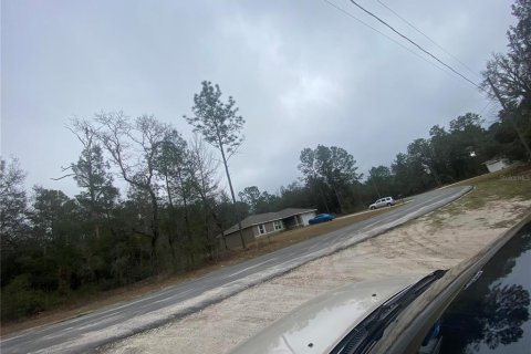 Land in Dunnellon, Florida № 2163623 - photo 8