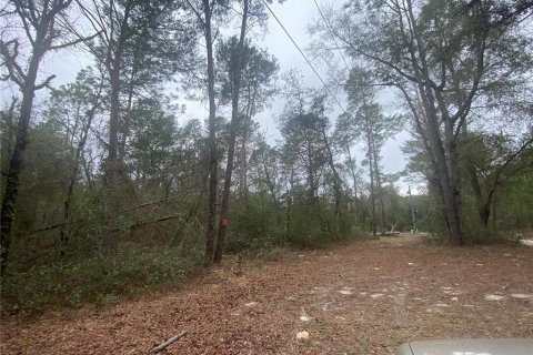 Land in Dunnellon, Florida № 2163623 - photo 2