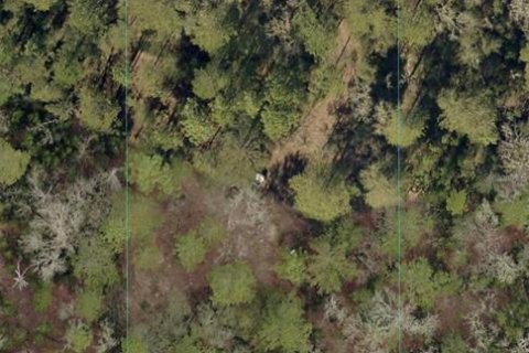Land in Dunnellon, Florida № 2163623