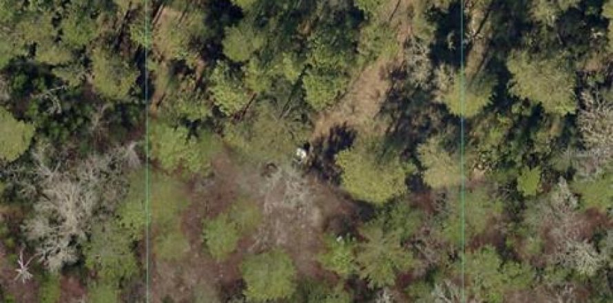 Land in Dunnellon, Florida № 2163623