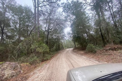 Land in Dunnellon, Florida № 2163623 - photo 6
