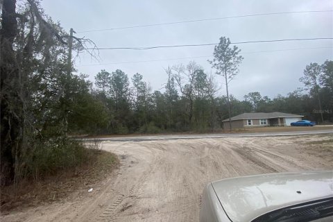 Land in Dunnellon, Florida № 2163623 - photo 7