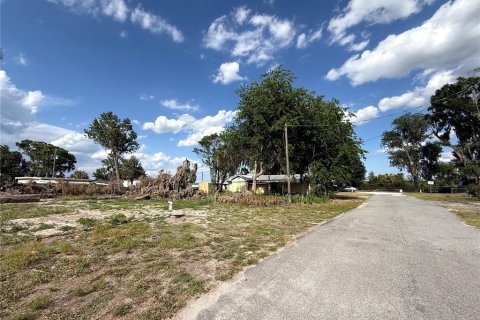 Land in Lake Panasoffkee, Florida № 2161777 - photo 9