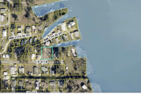 Land in Lake Panasoffkee, Florida № 2161777 - photo 5