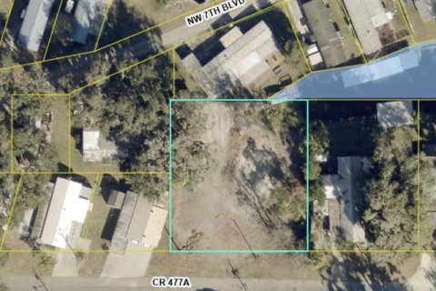 Land in Lake Panasoffkee, Florida № 2161777 - photo 6