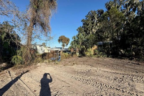 Land in Lake Panasoffkee, Florida № 2161777