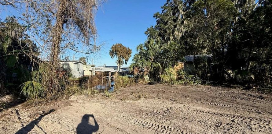 Land in Lake Panasoffkee, Florida № 2161777