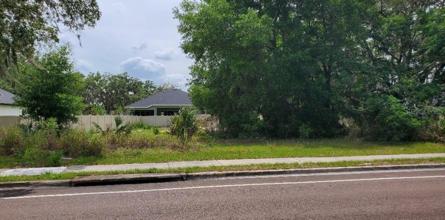 Land in Oviedo, Florida № 1680096