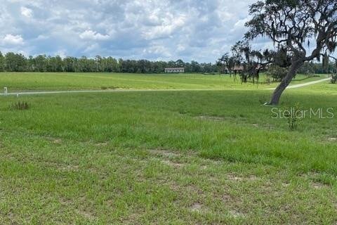 Land in Floral City, Florida № 2092101 - photo 11