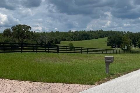 Land in Floral City, Florida № 2092101 - photo 5