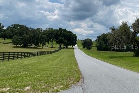Land in Floral City, Florida № 2092101 - photo 6