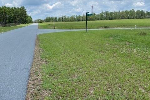 Land in Floral City, Florida № 2092101 - photo 10
