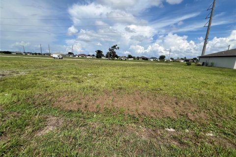 Land in Cape Coral, Florida № 2258583 - photo 4