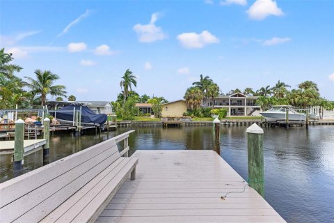 Villa ou maison à louer à Saint Petersburg, Floride: 3 chambres, 243.13 m2 № 2408448 - photo 14