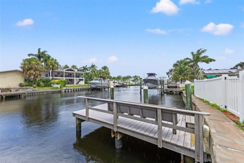 Villa ou maison à louer à Saint Petersburg, Floride: 3 chambres, 243.13 m2 № 2408448 - photo 13