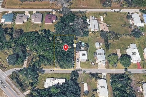 Land in Punta Gorda, Florida № 2165048